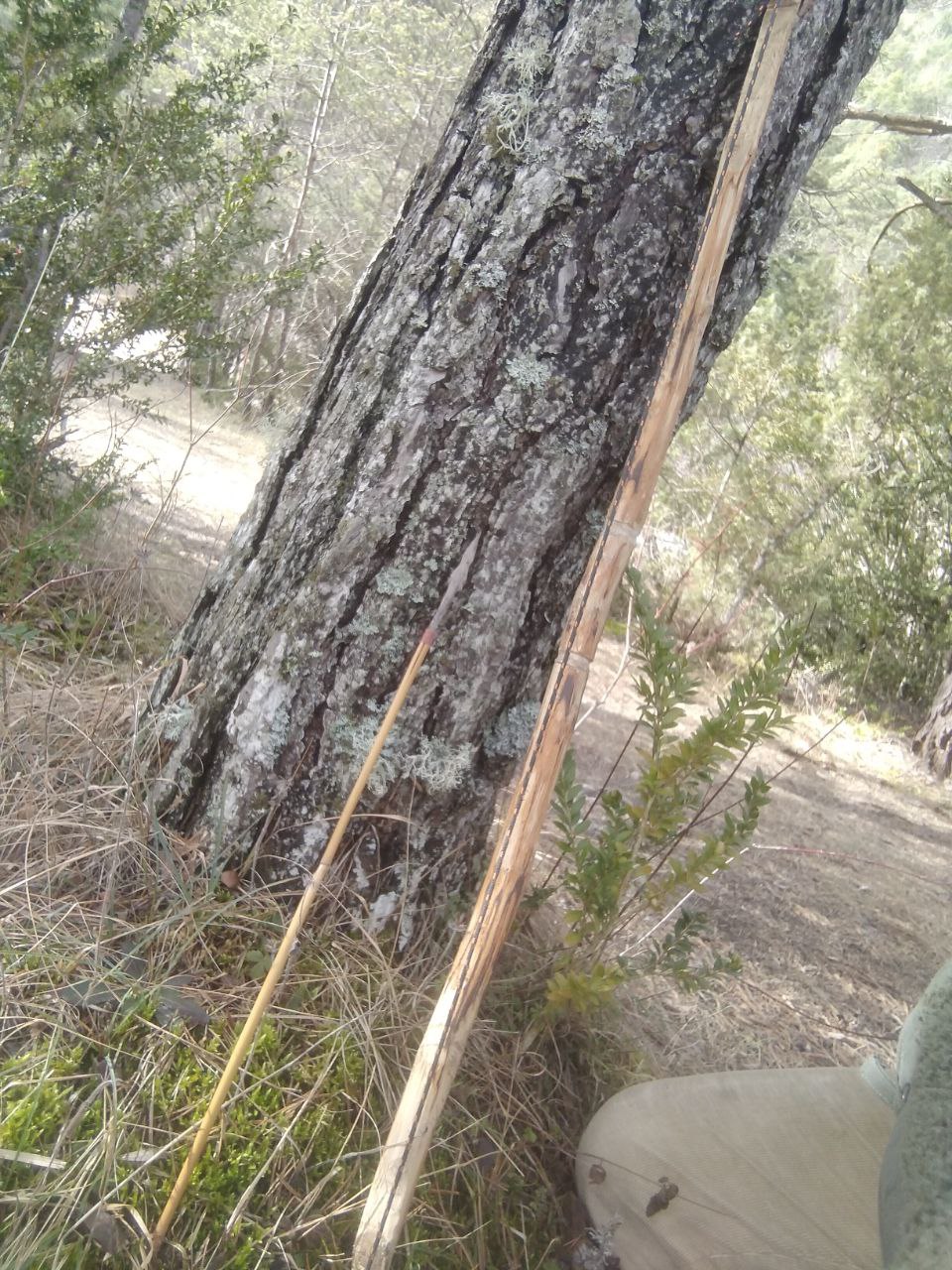 Arc en if fabriqué à la main, appuyé contre un arbre