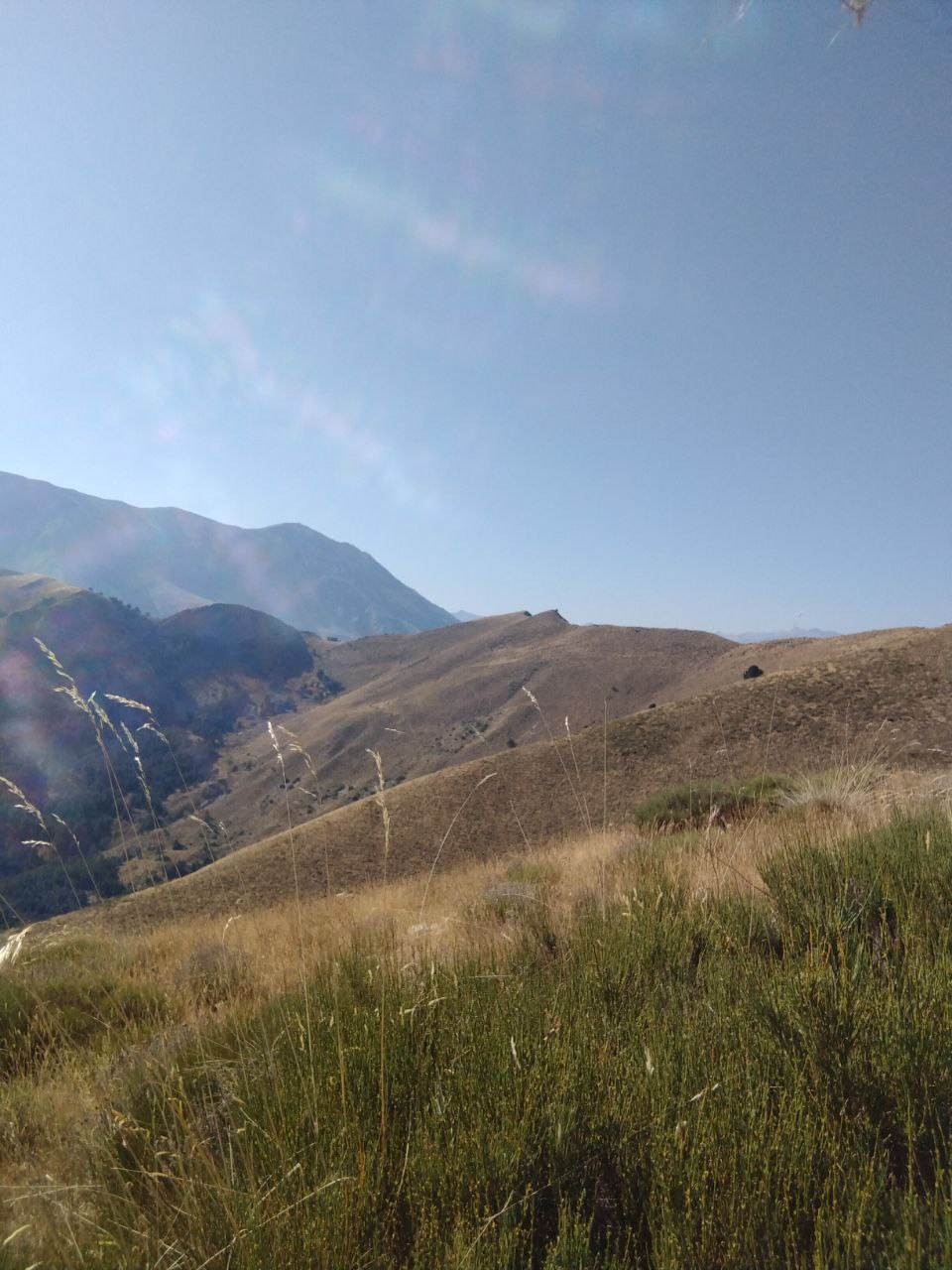 Crêtes arides sous un ciel bleu, herbes sèches au premier plan