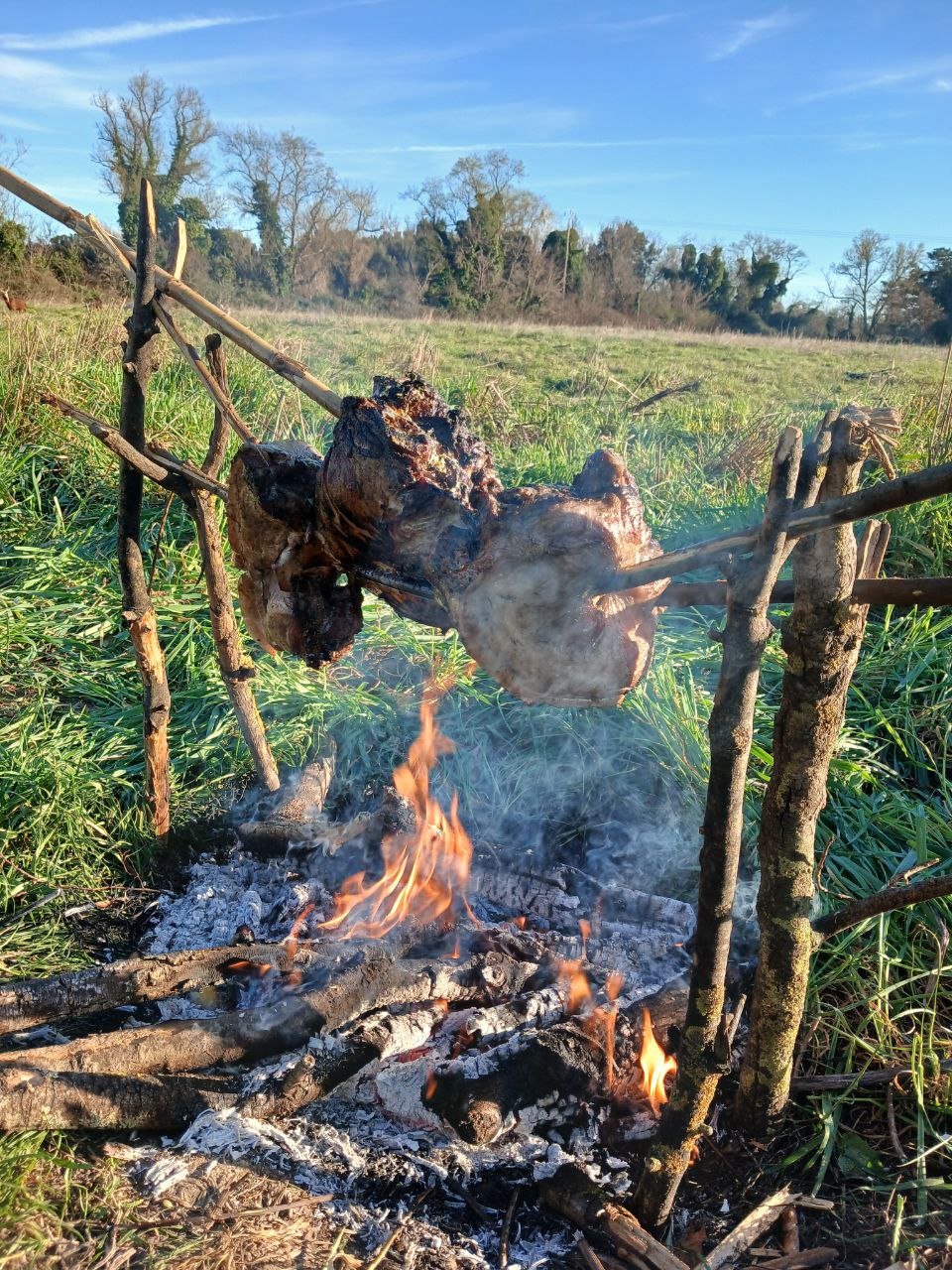 De la viande rôtissant à la broche au-dessus d'un feu de bois, en plein champ