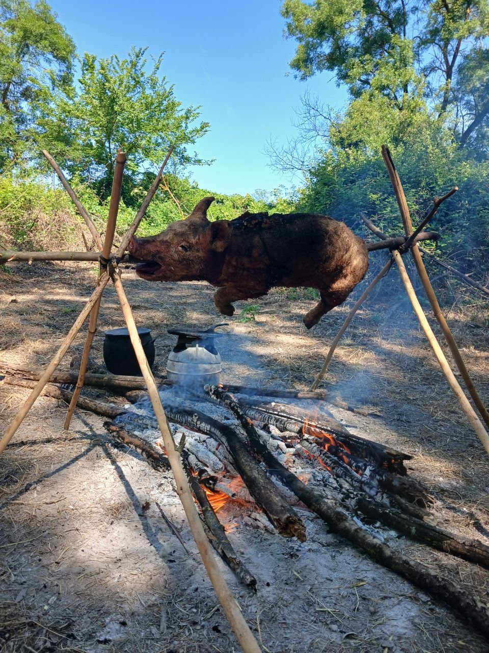 Un cochon rôti à la broche au-dessus d'un feu, sur des trépieds de bambou