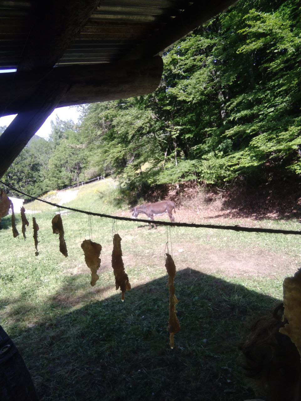 Lanières de viande en train de sécher sur un fil