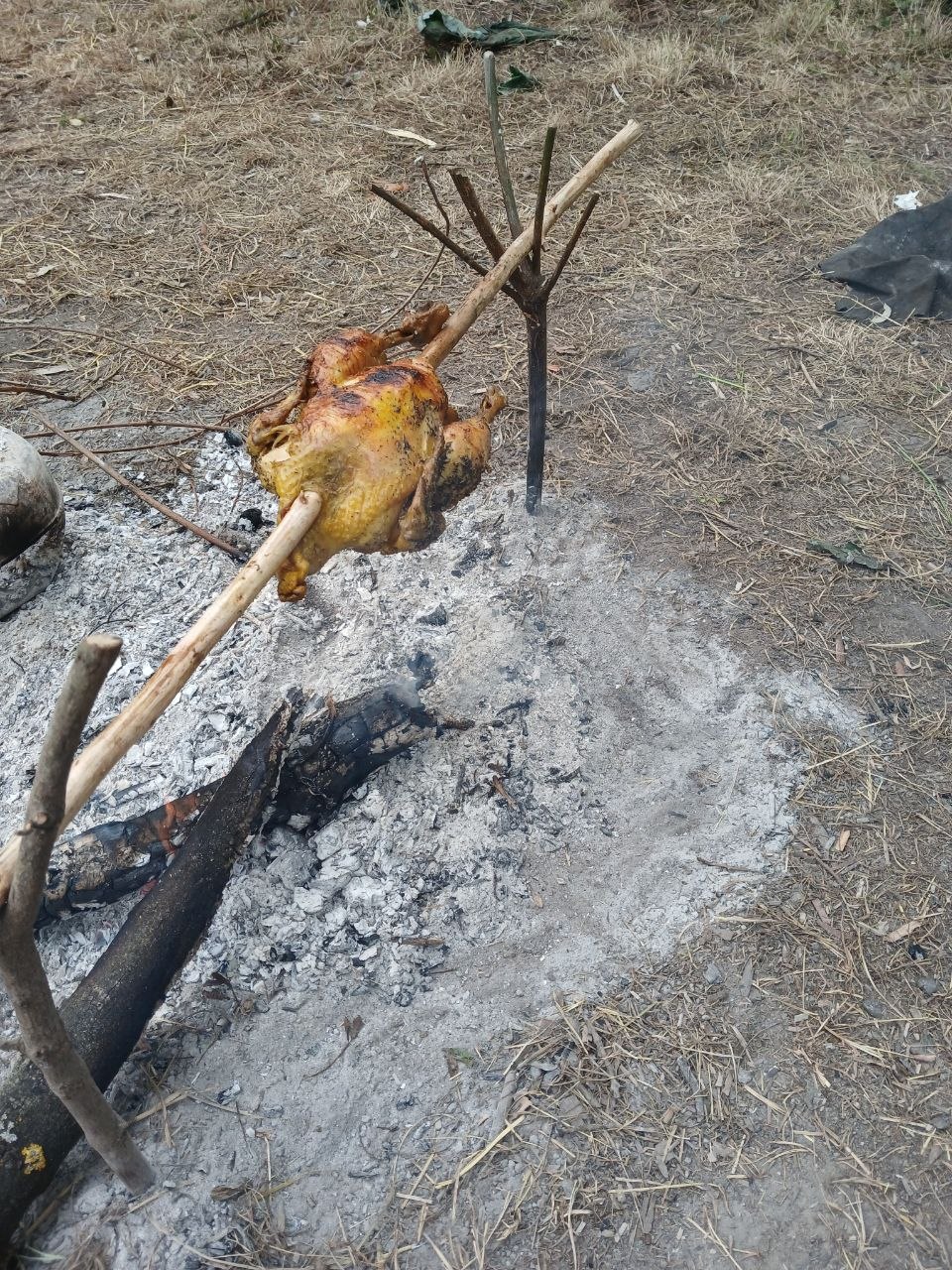 Un poulet doré rôtissant à la broche sur les braises