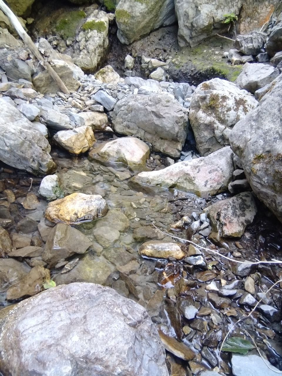 Eau claire dans un lit de pierres, en montagne
