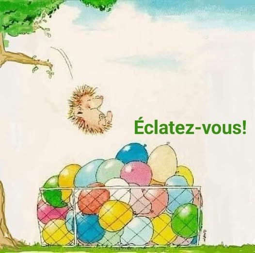 Hérisson s'élançant vers des ballons d'eau — « Éclatez-vous ! »